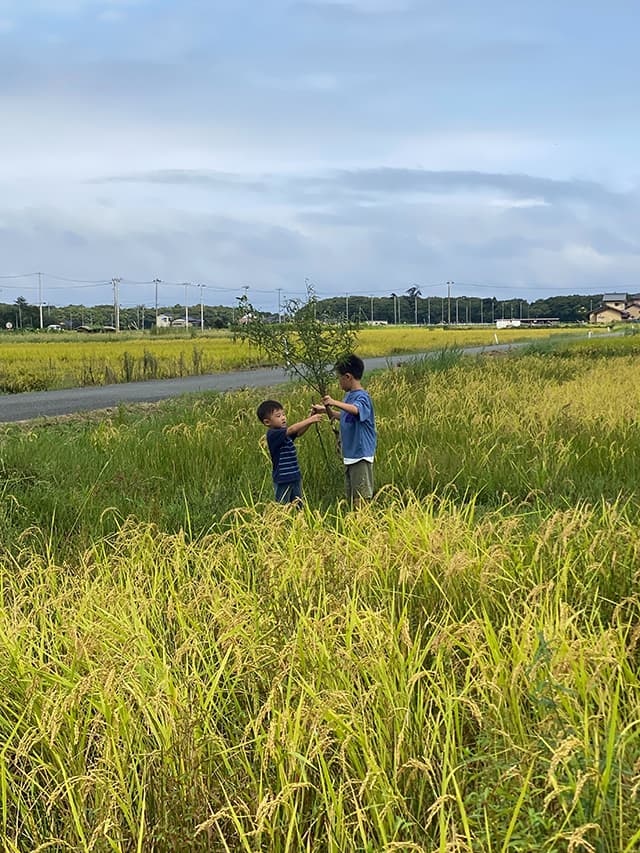 農業体験する子ども