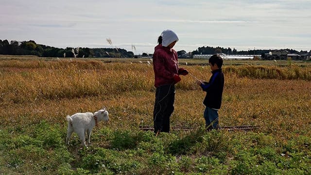 田んぼで話をするTADAと少年