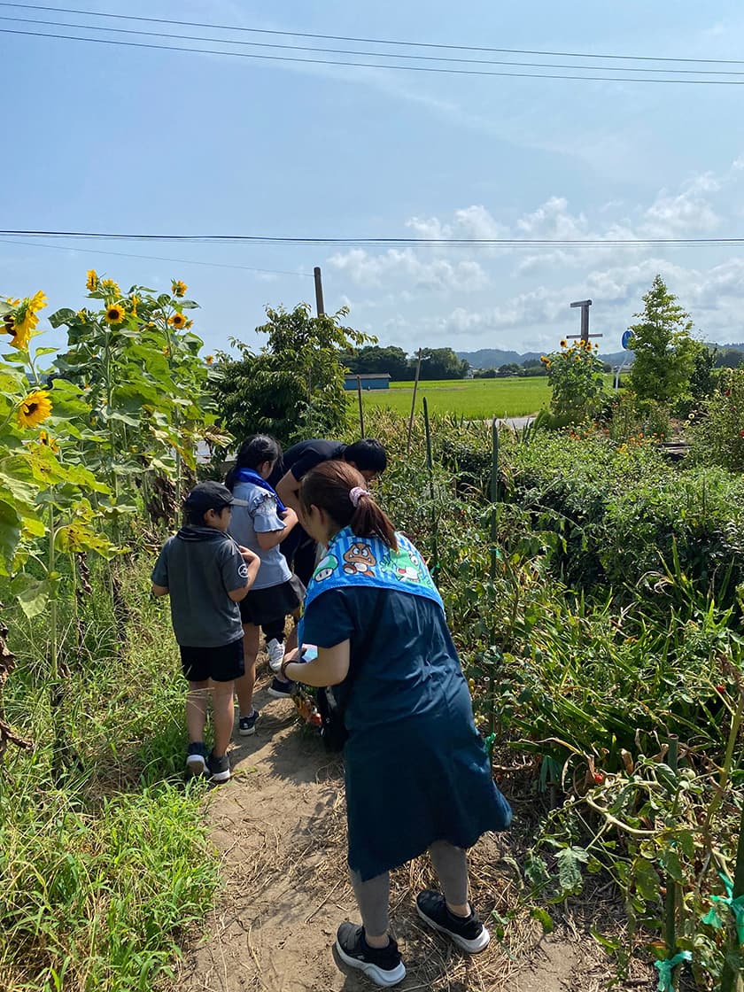 農業体験している家族