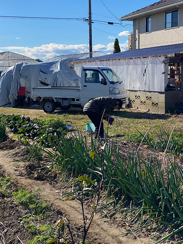 農作業する女性